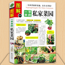 Genuine illustration of one square meter of private vegetable garden vegetable planting technology indoor and outdoor tomatoes cucumbers eggplants peppers strawberries balconies courtyards top floor vegetable cultivation practical manual for planting and cultivation