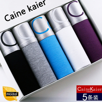 Comfortable pants for mens cotton box mercerized cotton passion flat corner mens underwear cotton pants with elastic sexy