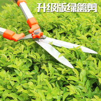 Big lion garden scissors pruning shears gardening fruit trees thick branches hedge scissors straw scissors flower scissors Greening tools