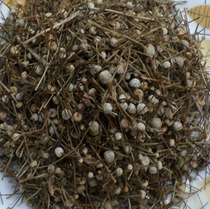 Chinese herbal medicine grain beads 500g