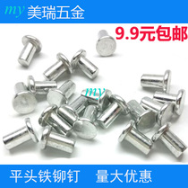 M2M2 5M3M4M5M6 galvanized GB109 flat head Iron rivet solid flat head rivet