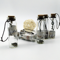 12 sets of fashionable retro metal hanging wishing bottle gift Cork glass small bottle creative birthday gift