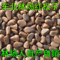 Northeast Pine Nuts Wild New Stock Red Pine Nuts Original Taste Cooked Bulk Artisanal opening pine nuts Pregnant Women Nut Snacks