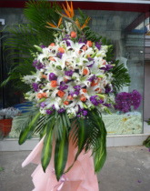 White powder perfume lily Shanghai Beijing business housewarming celebration flower basket concert star sent opening flower delivery