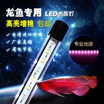 () Ribao LED parrot Arahan dragon fish sea fish diving light water light red yellow white blue light
