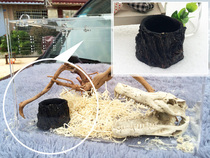 Reptile supplies Climbing pet water basin Lizard Centipede Scorpion resin water basin food basin Simulation landscaping who touches the food basin