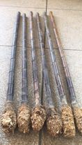 Bamboo Tube Xiao material