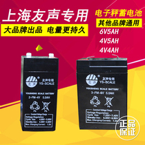 Shanghai Yousheng Electronics says special storage battery 6V5AH 4V4AH child electric car battery electronic scale battery cell
