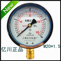 FACTORY DIRECT SALES SHANGHAI YICHUAN EARTHQUAKE RESISTANT SEISMIC PRESSURE GAUGE YN100 0~16MPA M20*1 5