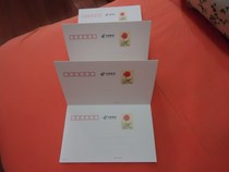 Carnation (6 conjoined postcards) Ma Teng Fugui printed film