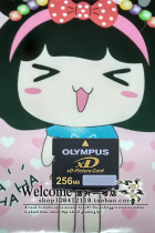 Original FUJIFILM FUJIFILM Standard XD 256M XD card 256MB compatible with old cameras