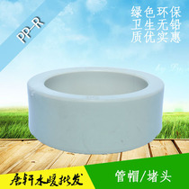 Super-valued accessories ppr water pipe cap choke plug hot melt pipe joint pipe 63 63 75 90110 3 inches 4 inches