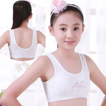 Girls vest 9-12 years zhong da tong cotton developmental bra 12-15 children aged nei yi shao nv bra