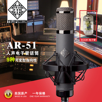 telefunken de Law Wind root AR-51 professional recording studio vocal Electronic Tube Condenser microphone microphone