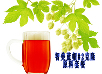 Belgian Dark Strong Ale Chile Beauty Blue Hat 2#克隆 18 9 liters