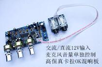 PT2399C reverberation board karaoke reverberator ksong dual channel output to power amplifier board