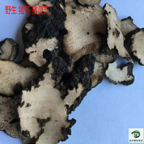 Wild Medicinal Fungi Wild Poria Poria Cocos Pig Ganoderma lucidum 100g