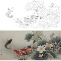 Meticulous Chinese painting line drawing bottom draft Lotus carp 66*132 Road rain year physical white paper printed draft with color picture 059T