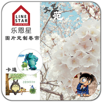 Imported custom picture Photo Photo Photo custom roller curtain home heat insulation sunscreen UV full shade roller blind