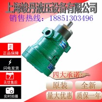 Manufacturer Direct 2 5MCY 2 5MCY14-1B Quantitative axial plunger pump high-pressure plunger pump motor