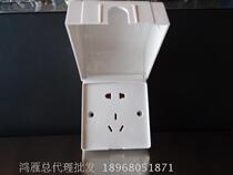 Hon Goose Switch Socket Splash-Proof Series 23 Inserts with waterproof case for sale five holes with splash-proof box