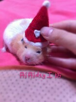 (Tong Tong) diy handmade hamster Christmas hat special props flannel making non-rushed Velvet