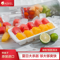 Japan original imported ASVEL household Ice Box ice cube ice lolly ice cream mold large