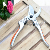 Home gardening scissors garden pruning knives flower and wood scissors pruning branches fruit tree scissors Ausen AS1021