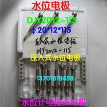 Press-in water level gauge electric contact electrode water level Electrode boiler level water level electrode DJY2012-115