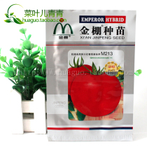 Golden Shed M213 Anti-nematode high seedling red tomato seeds Golden shed leap high yield early ripening red fruit tomatoes in four seasons