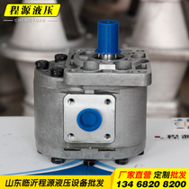 Hydraulic oil pump Gear pump Dump truck oil pump CBNCBTCBG532550 563 580590 high pressure oil pump