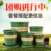 Set with gallon pots 1 2 3 5 plastic round-the-wall gallon flowerpot green plant fleshy flower pots