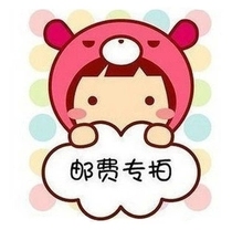 Freight to make up for the difference group purchase personalized custom network abnormal lazy person etc. special shot connection