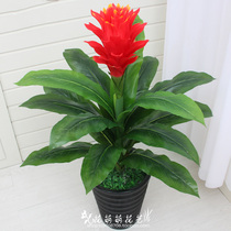 New Emulation Florist Residence Decoration Green Planting Plastic Fake Flowers Decoration Flowers Bonsai Hong Yun When Head Potted Large Plants