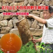 Taihang Deep Mountain Farmers Self-produced Natural Jinghua Honey 500g Wild Thorn Honey