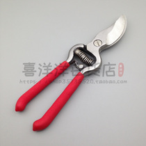 Old-fashioned forged 8-inch pruning shears branch scissors picking garden tools gardening pruning tools