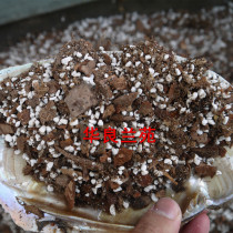 Orchid soil mixed breathable plant ratio flower plant particle material nutrition pine bark planting soil