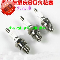 Motorcycle parts motorcycle spark plug Chongqing 80CY80 two-stroke spark plug 4114 spark plug high quality