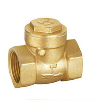 Reg 101 horizontal check reverse check valve 4 DN15 20 25 32 40 50 65 80