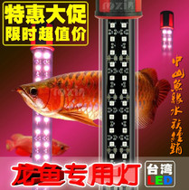 Roxin Rongxingda LED double row dive light for Arowana Parrot fish arhat fish brightening aquarium lighting special offer