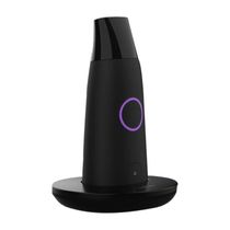 lumen Blow Healthy Metabolism Tracking Smart Monitor Fitness Program Reminder Respirator