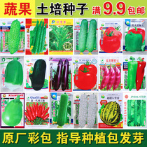 Discount low price Four Seasons vegetable seeds mint pepper tomato cucumber Cherry Radish tomato loofah seed