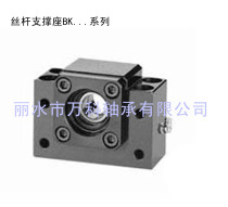 Precision screw support support seat fixed side BK40 BF40