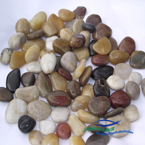 Pure natural boutique Yuhua stone polished pebbles colorful stone turtle turtle tank fish tank flower landscape decoration
