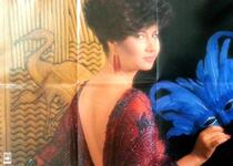 Zenni Harbor Edition Big Poster Size: 72 5cm X 52cm ¥98