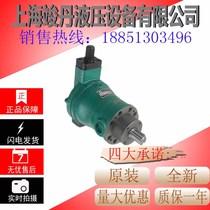10YCY 25YCY 40YCY 63YCY 80YCY 100YCY 160YCY14-1B Shanghai plunger pump