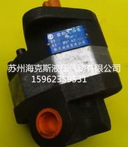 Hydraulic pump Yuci gear pump CB-FC10 16 20 25 31 5 rotary gear pump Hydraulic oil pump