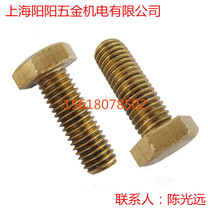 Copper hexagon bolt Copper hexagon screw Copper hexagon screw Copper screw GB: 30 M6