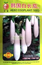 Korean white long eggplant high quality white-skinned long eggplant seeds early maturing hybrid fruit type graceful long 25-35cm