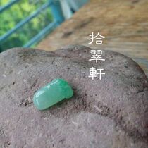 (ten Cuxuan) The ice glutinous seed is known to be full and small and cute to the green